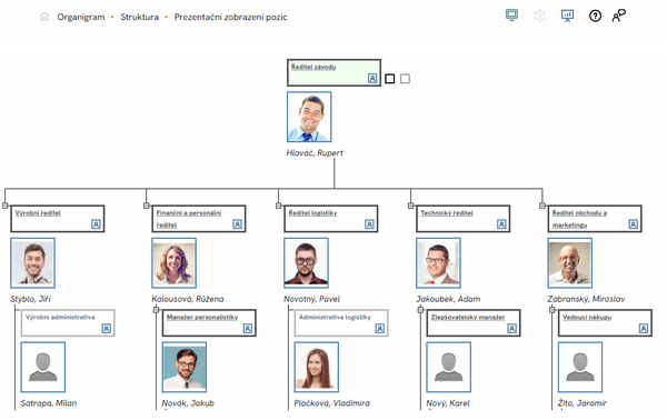 Prezentační zobrazení organigramu